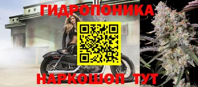 прущие крисы Изобильный
