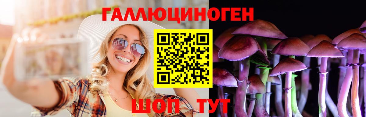 Псилоцибиновые грибы Psilocybine cubensis Кувандык